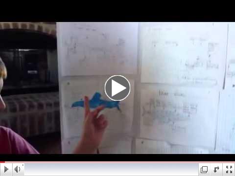 Unit Study by Adam Jenkins