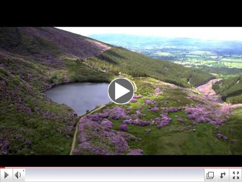 Vee Pass & Knockmealdown Mountains, Co. Tipperary