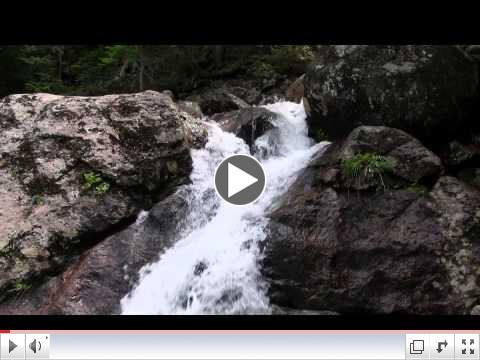 Thompson Brook Falls at Wildcat Mountain