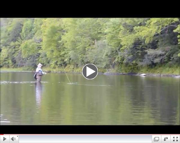 John McPhillips on Pine in Early June...Flies, imitations, trout