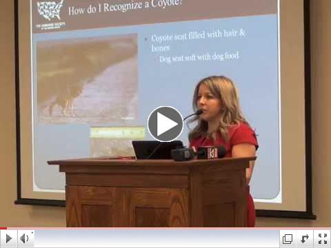 Solving Problems with Coyotes in Geneva