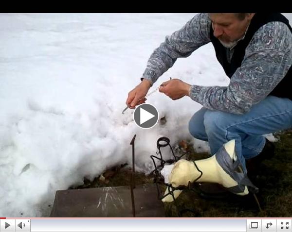 Trapper Ron Save your Dog 425