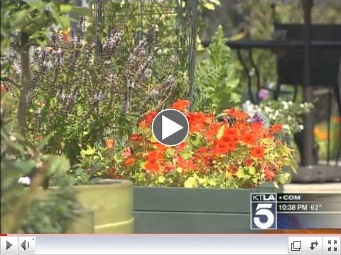 KTLA reporter previews Los Angeles Garden Tour 2011