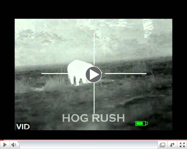 Hog Hunt with ATN ThOR Thermal Weapon Sight
