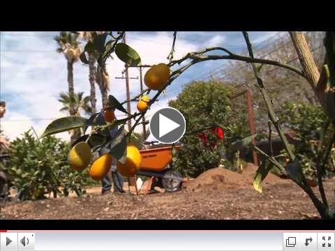 Healthy Communities; Healthy County: San Bernardino, Calif.