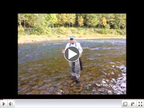 Silver Sonic Waders with Tom Finkbiner and David Wonderlich