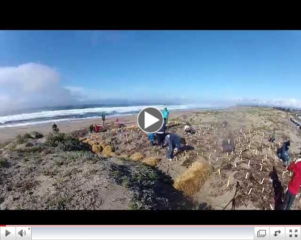 Time Lapse Dune Restoration at Moss Landing State Beach