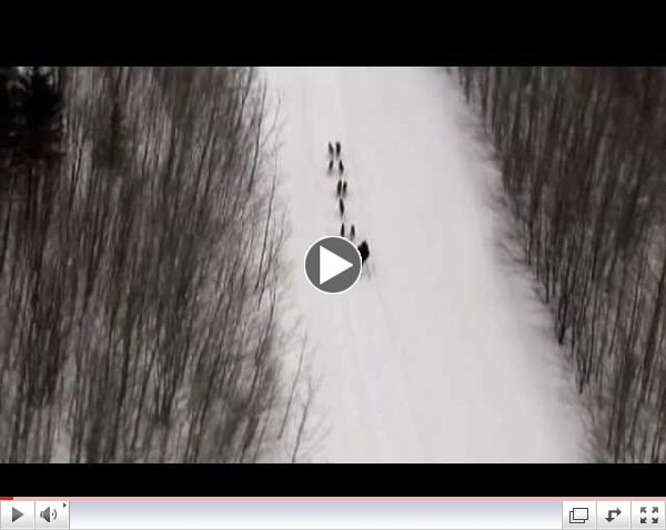 Aroostook County Tourism Advancing Aroostook