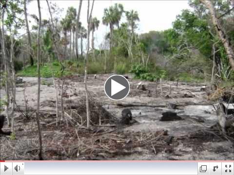 Mariposa Key Habitat Restoration