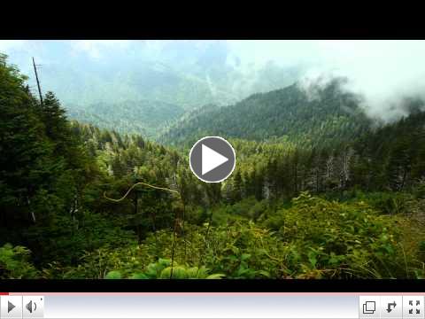 Sacred Mountain of the Smokies