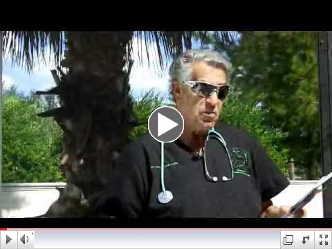 Natural Treatment for High Blood Pressure  2010