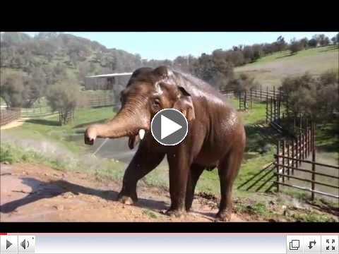 NICHOLAS: Bath time on Bull Mountain