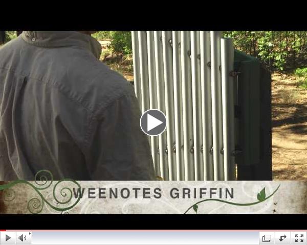 Griffin Song -  Shortnin' Bread