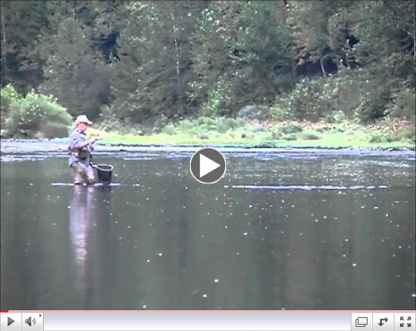John McPhillip's Great Pine Creek September Brown Trout