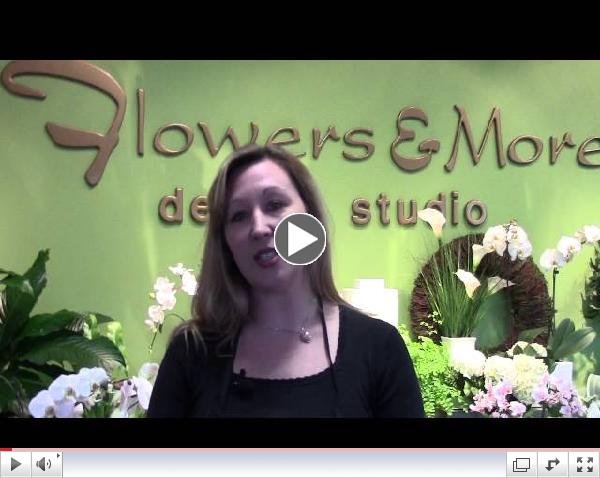 NVCC Member Spotlight: Carrie Brouwer, Flowers & More Design Studio