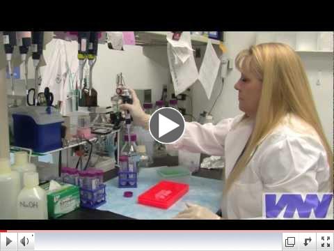 How Do You Become a Veterinarian?