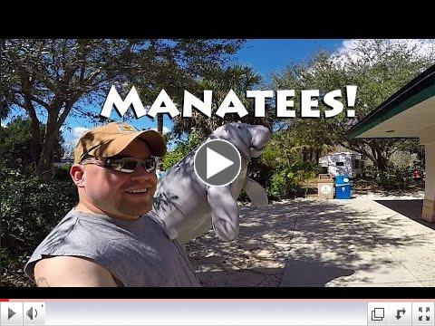 Manatee Park and scheduled maintenance
