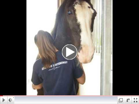 Rev. Mary Horse Healing
