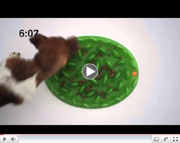 GREEN. Interactive Feeder