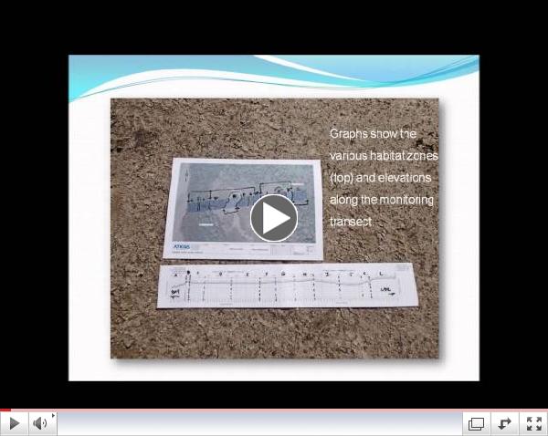 Watch a short slideshow about the coastal habitat monitoring project