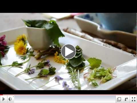 Foraged Flavor Book Trailer