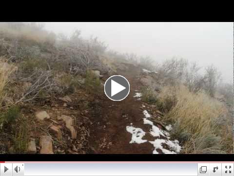 Lookout Trail Work Day