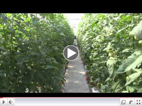 A Visit to Don's Produce, Arena, WI