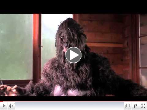Russell Investments ad explains the power of myth. Strange, yet effective