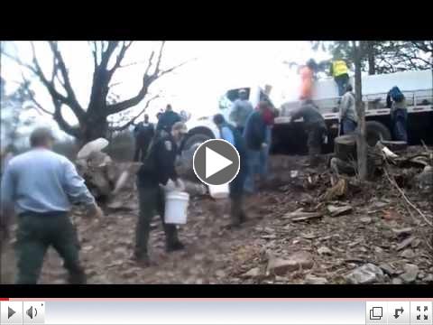 The Pa Fish & Boat Commission Stocking Pine Creek 3-28-2014