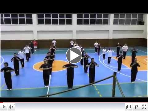World Tai Chi Day - Ip Man Wing Chun Turkey - Sifu Murat Kaplan