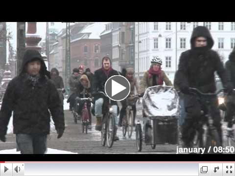 Bicycle Rush Hour in Copenhagen