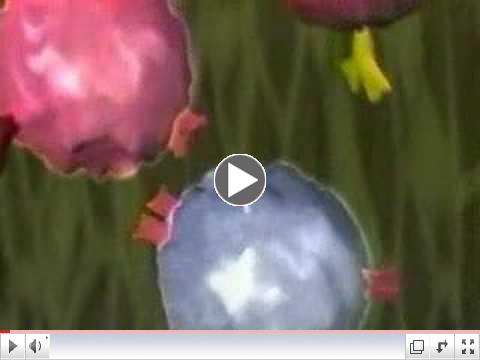 Antibody Mediated Immune Response