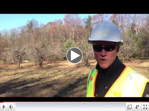 Towle Farm Update: November 2012