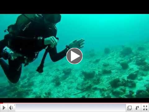 Scuba Diver Girls Shore Dive in Bonaire!!!