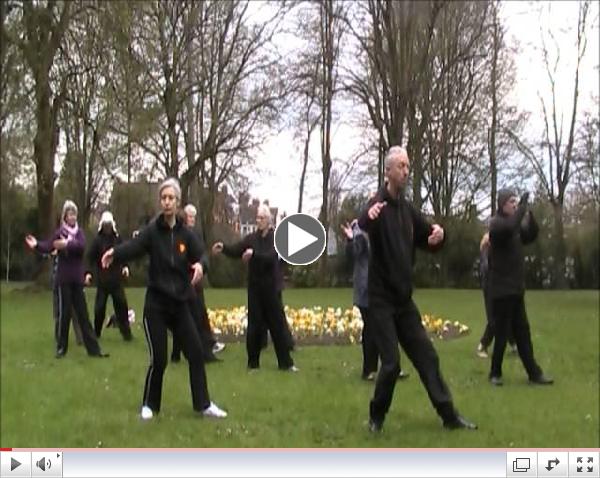 World Tai Chi Day 2013