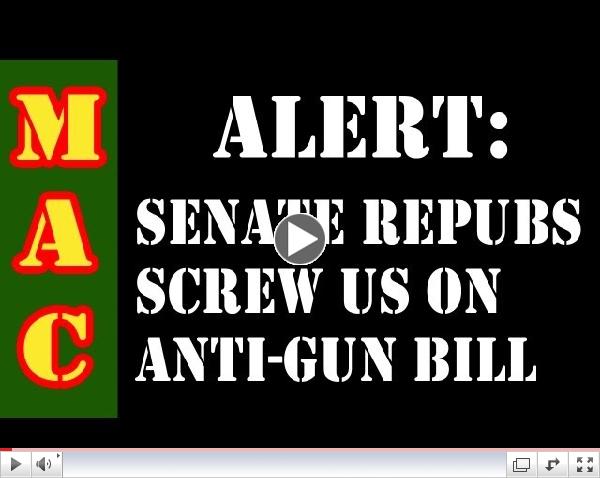 Senate Republicans Screw Gun Owners
