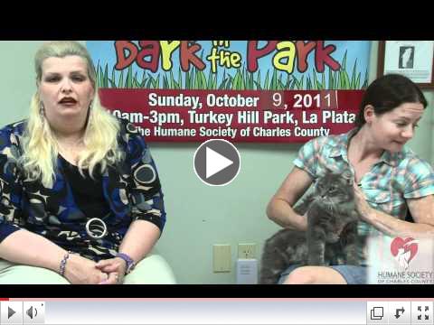 Charles County Maryland Humane Society Animal Adoption Video for August 2011