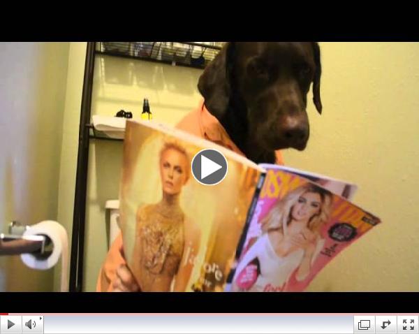 Ruff Dog Day Official Video
