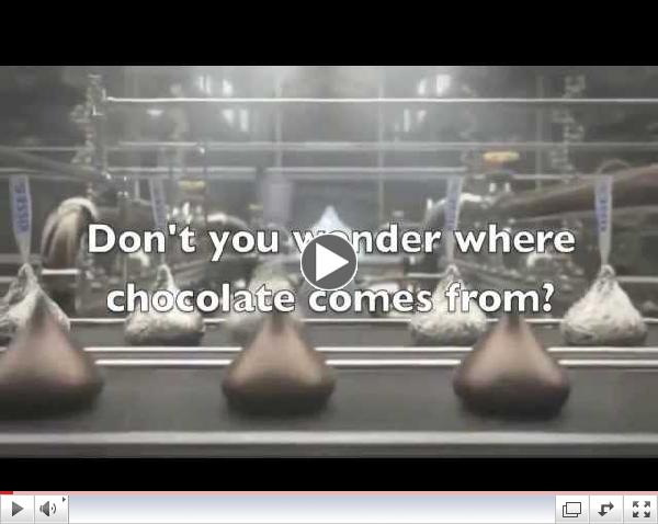 LAMPlatoon Critique: Where Does Chocolate Come From?