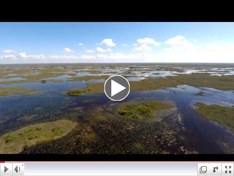 The Unseen Everglades-- Inside a Legendary Wilderness
