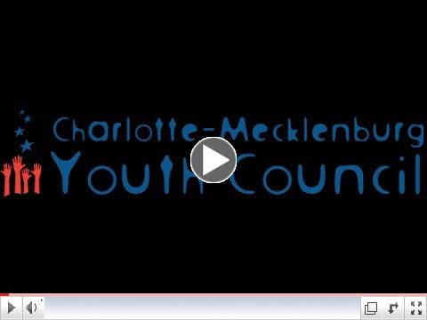 Youth Council 2013-14 report