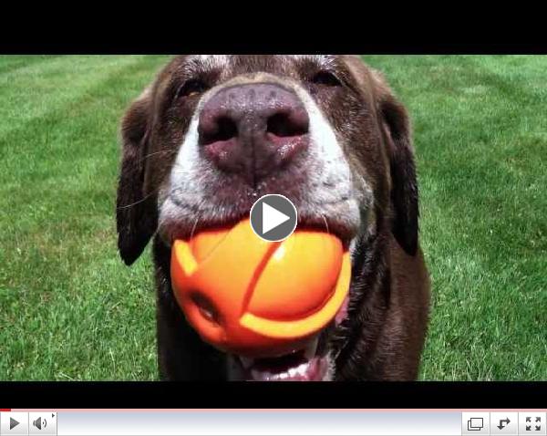 Playing Ball