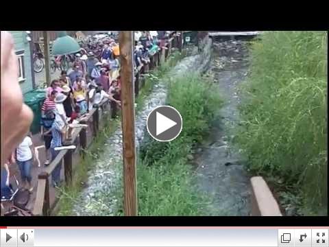 Ducky Race Fundraiser, Crested Butte, Colorado 2014
