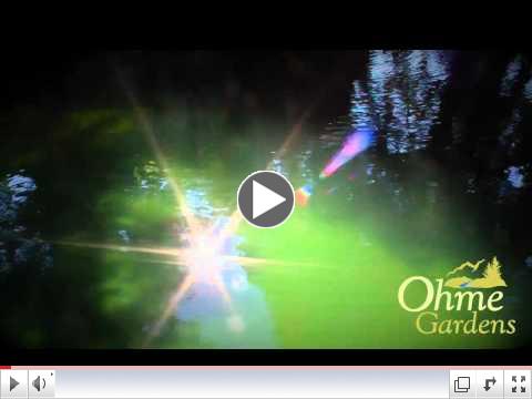 A Walk Through Ohme Gardens