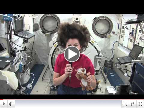Waking up, working, and going to sleep in Zero G