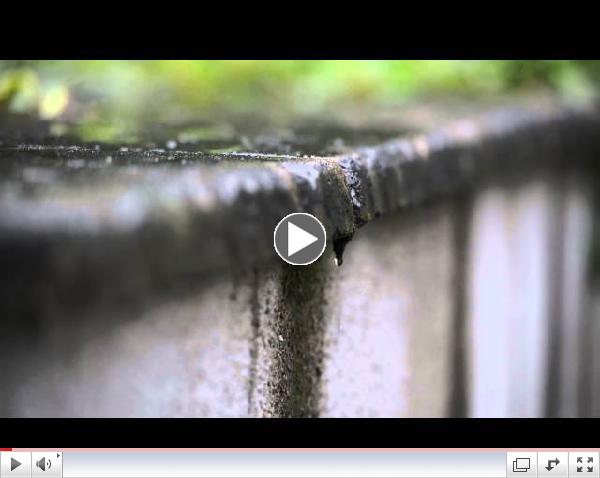 'Tis a soft 'ol day... a rainy day in Ireland