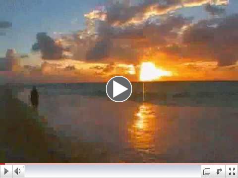 Ziggy Marley Beach in Hawaii (lyrics)