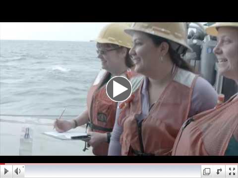USF Marine Science Watershed Program 