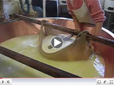 making parmigiano reggiano parmesan cheese