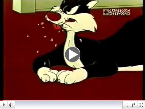 Sylvester - Sufferin Succotash